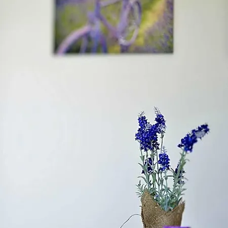 Serenella 3*