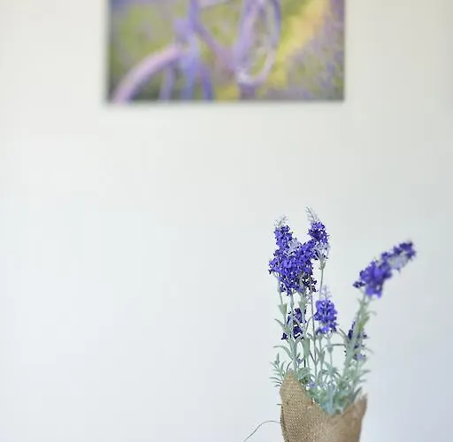 Aparthotel Residenza Serenella Diano Marina